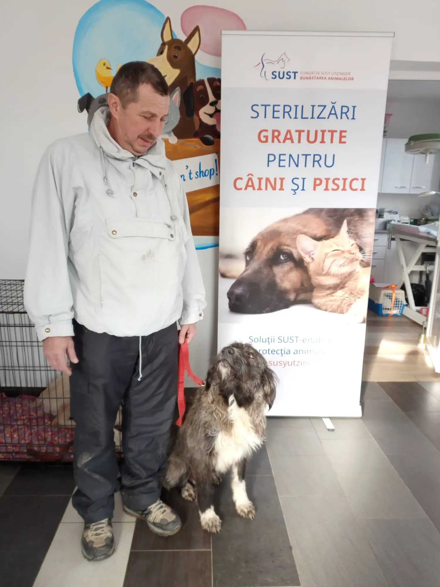 sterilizari asipa campanie