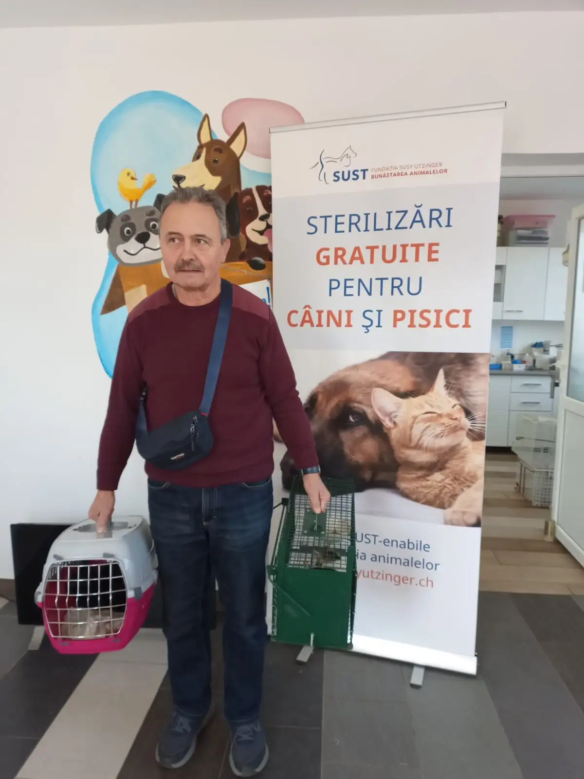 sterilizari asipa campanie